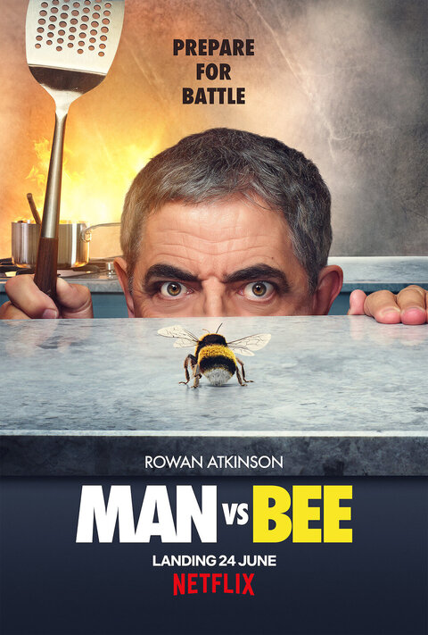 Man vs. Bee poster