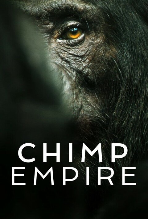 Постер сериала Империя шимпанзе