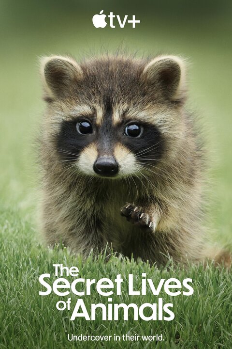 The Secret Lives of Animals poster