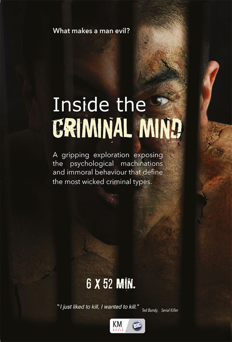 Постер сериала Внутри криминального разума