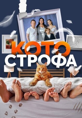 Постер сериала Котострофа