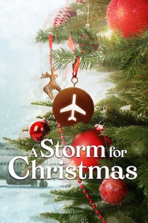Постер сериала Рождественская буря