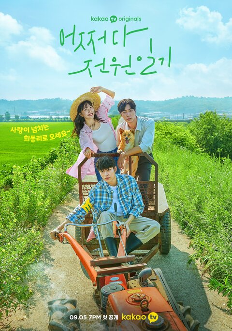 Eojjeoda jeonwonilgi poster