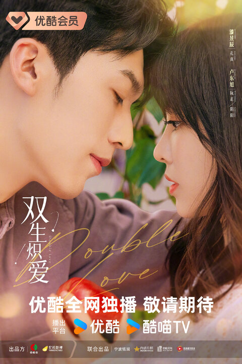 Double Love poster