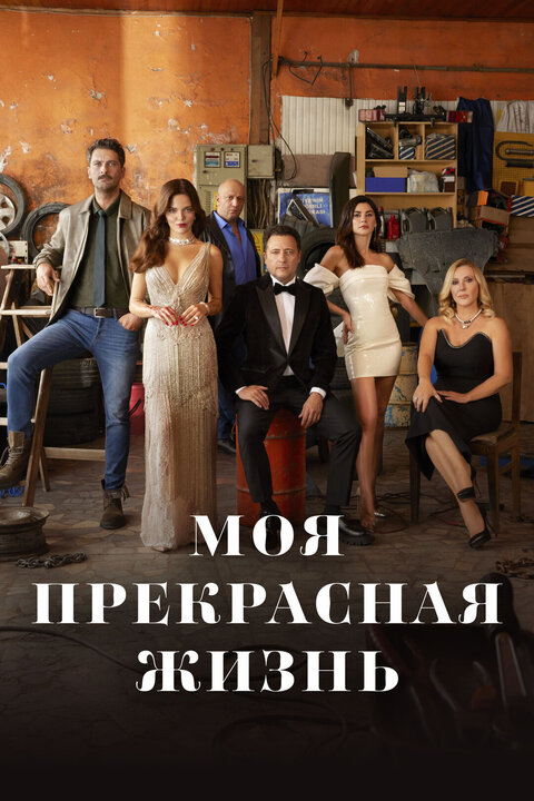 Постер сериала Моя прекрасная жизнь