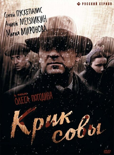 Krik sovy poster