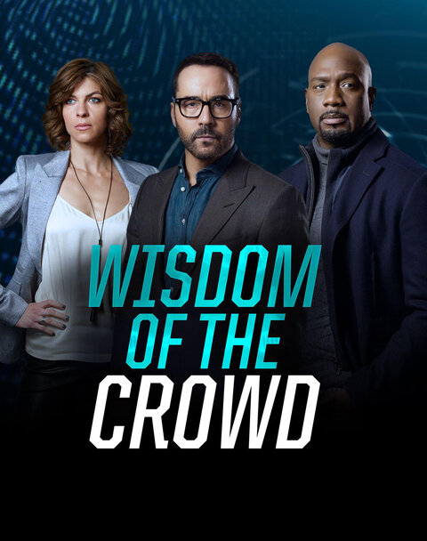 Wisdom of the Crowd poster