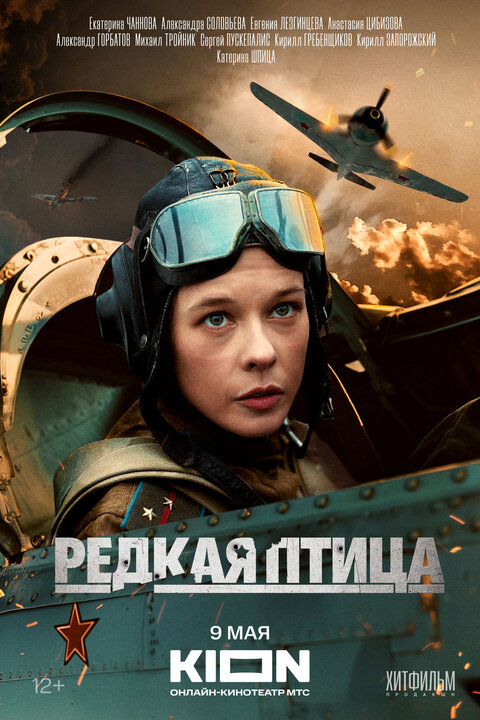 Redkaya ptitsa poster