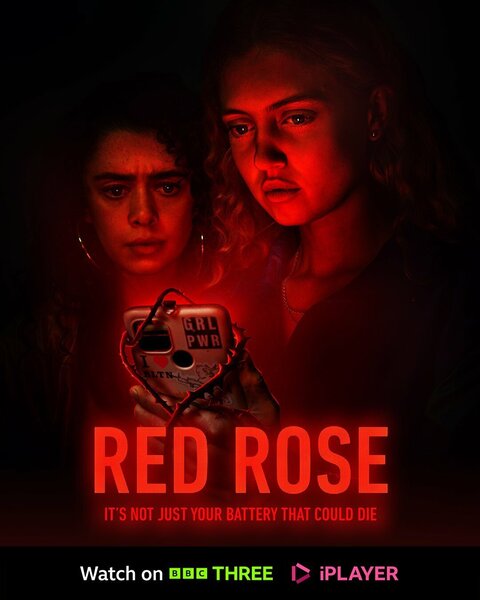 Постер сериала Красная роза