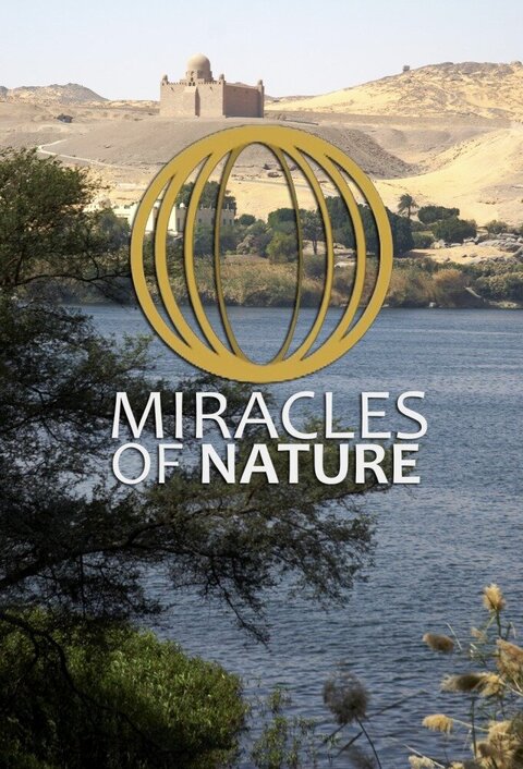 Постер телешоу Чудеса природы