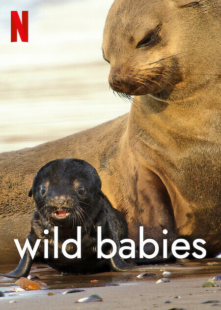 Wild Babies poster