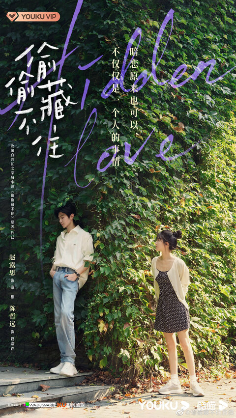 Tou tou cang bu zhu poster