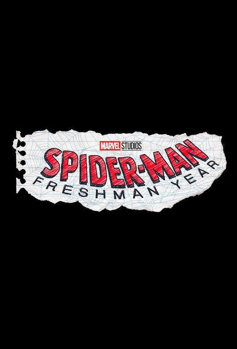 Spider-Man Sophmore Year poster