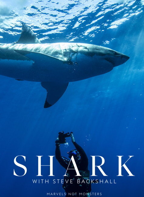 Shark with Steve Backshall poster