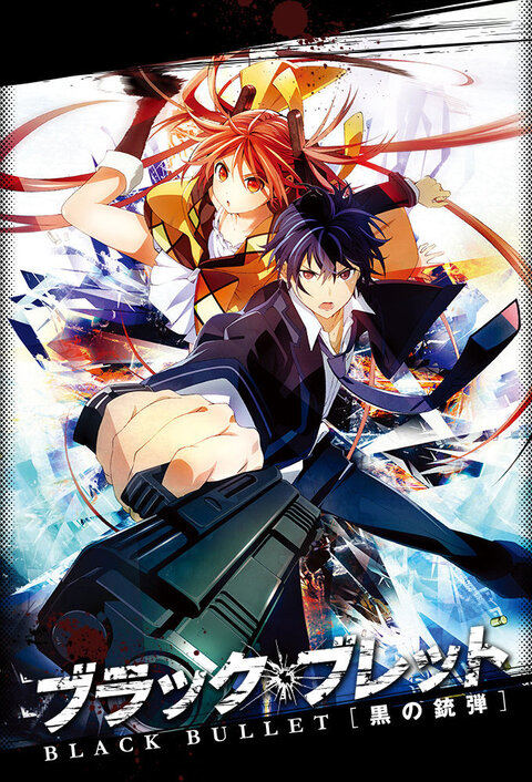 Black Bullet poster