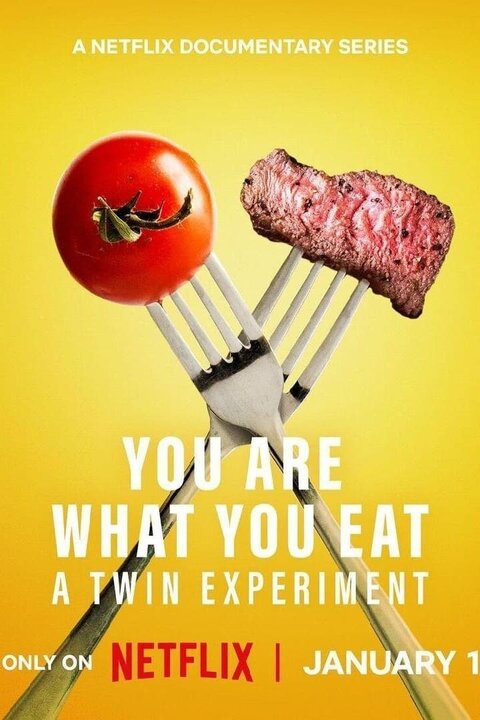 Постер телешоу Вы то, что вы едите: Эксперимент с близнецами