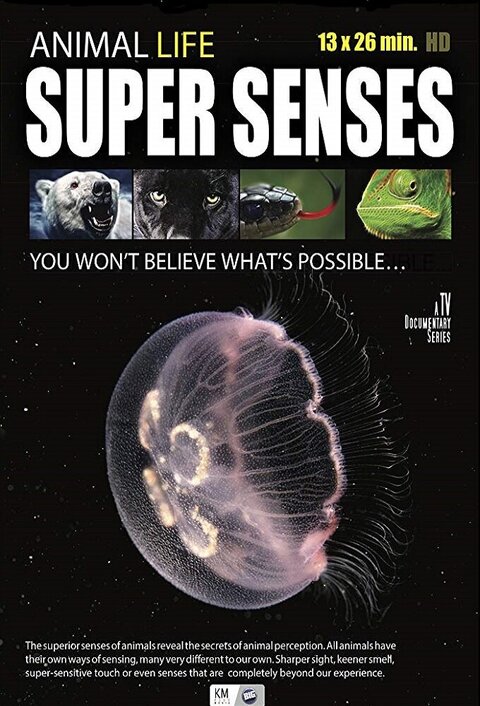 Постер сериала Суперспособности животных