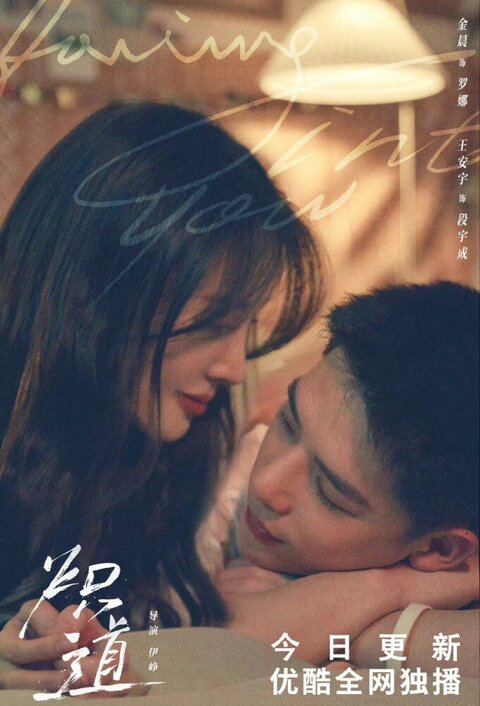 Falling Into You poster