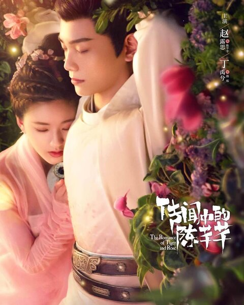 The Romance of Tiger and Rose poster