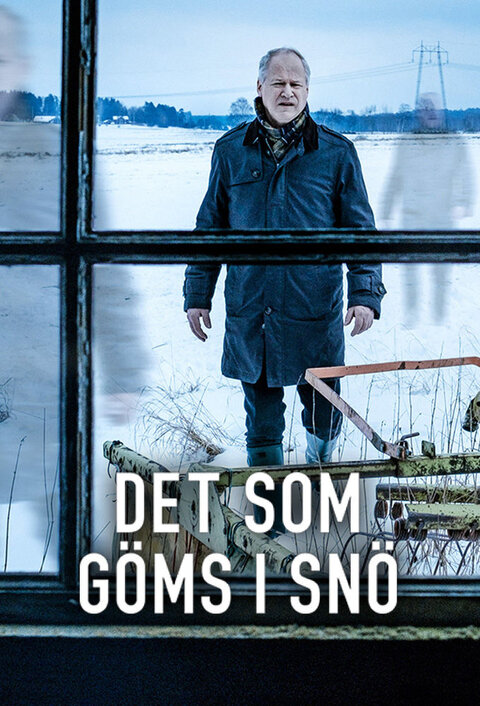 Det som göms i snö poster