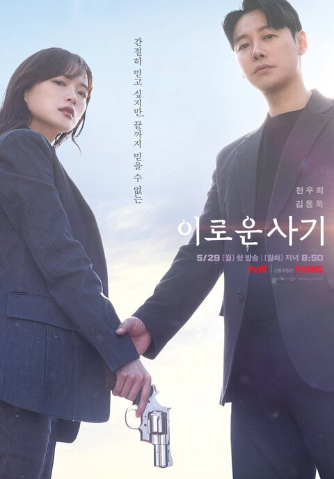 Delightfully Deceitful poster