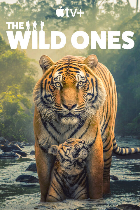 The Wild Ones poster