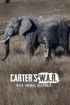 Carter's W.A.R. season 1 poster