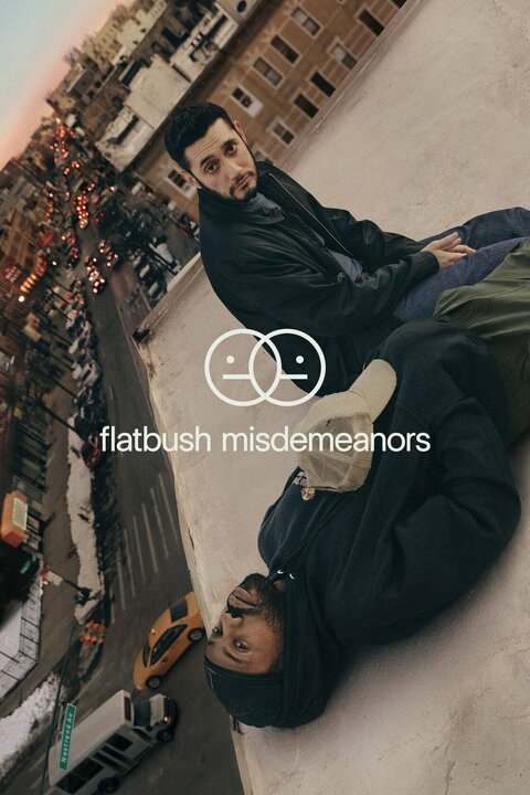 Flatbush Misdemeanors season 2 poster