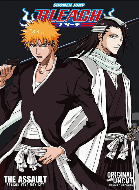 Bleach season 5 poster