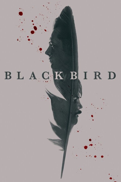 Black Bird season 1 poster