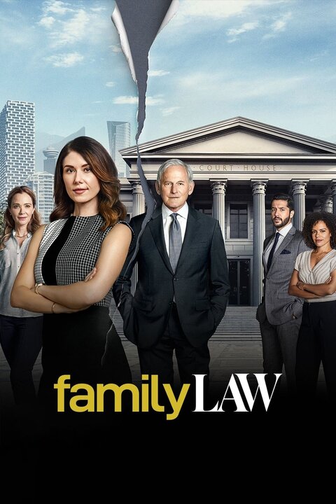 Family Law season 1 poster