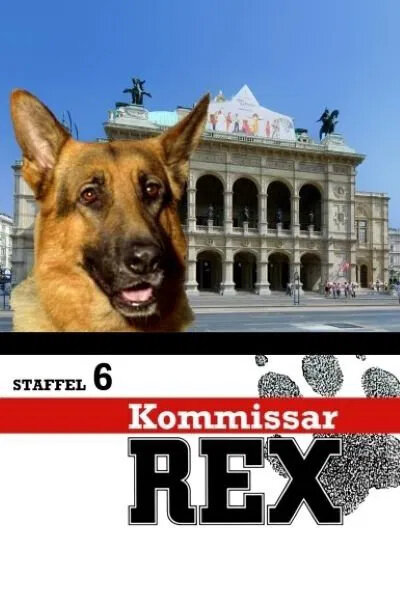 Постер к 6-му сезону сериала Комиссар Рекс