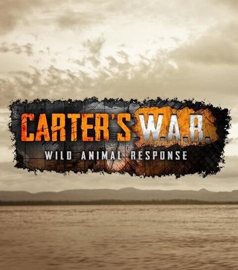 Carter's W.A.R. season 2 poster