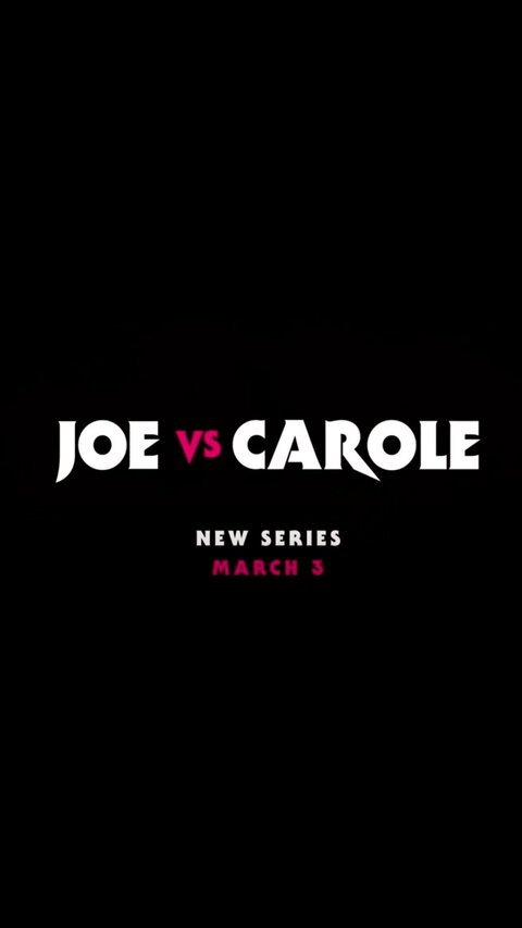 Joe vs. Carole season 1 poster