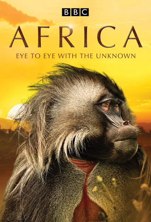 Africa season 1 poster