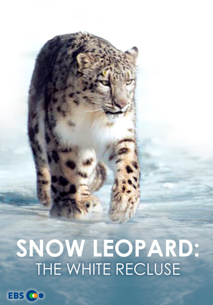 Snow Leopard: The White Recluse season 1 poster