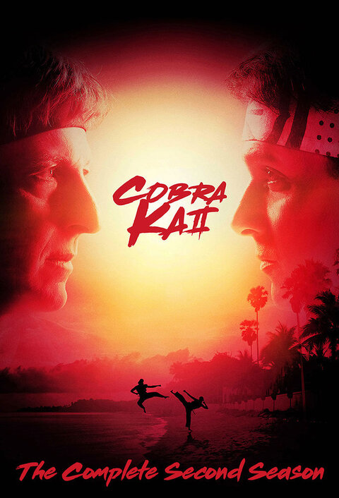 Cobra Kai season 2 poster