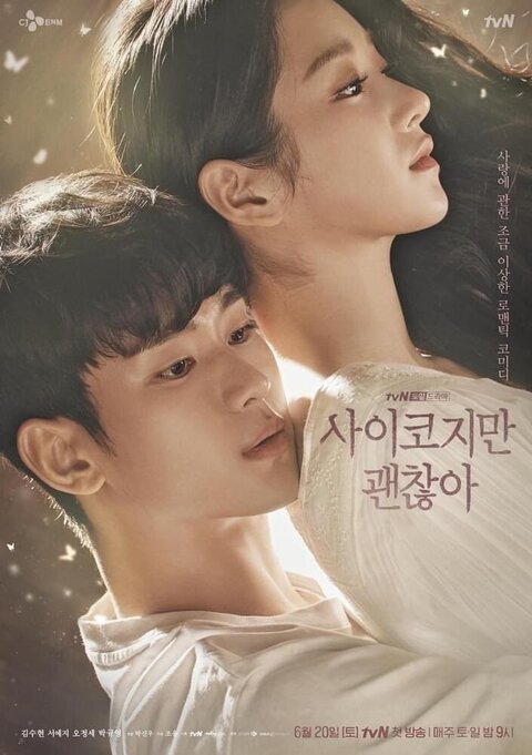 It's Okay to Not Be Okay season 1 poster