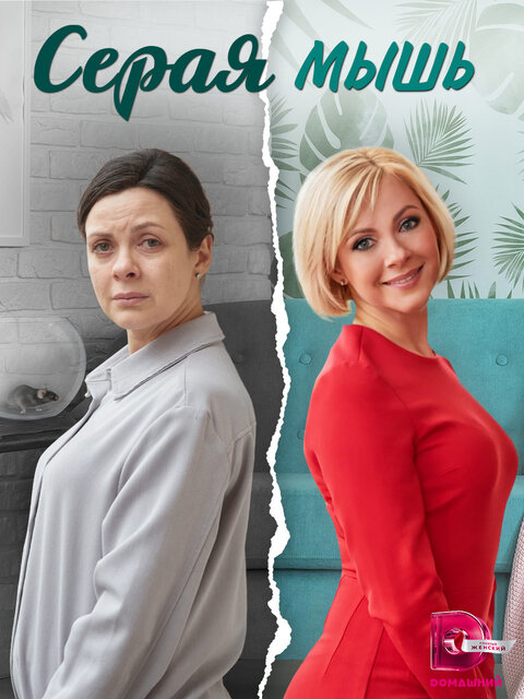 Постер к 1-му сезону сериала Серая мышь