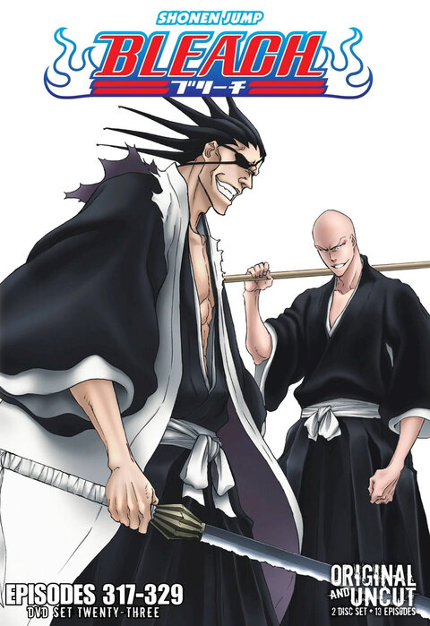 Bleach season 15 poster