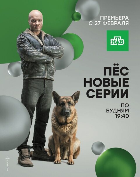 Постер к 3-му сезону сериала Пес