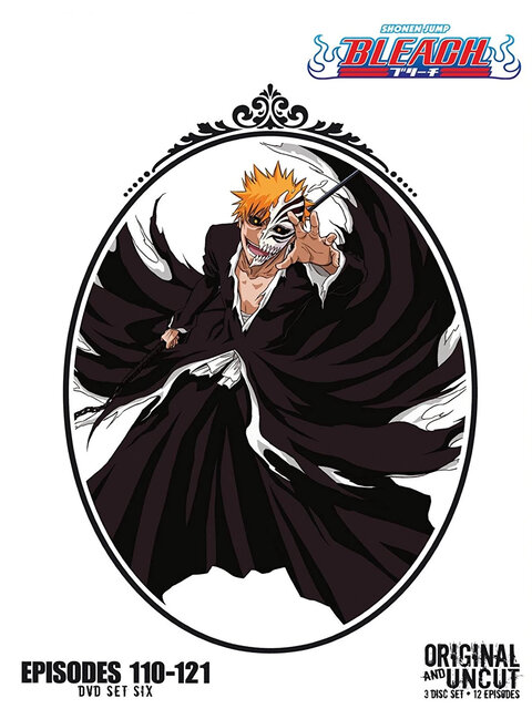 Bleach season 6 poster