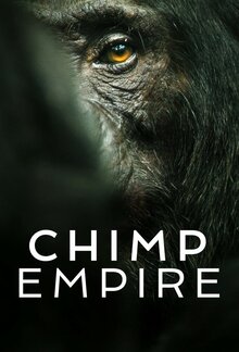 Chimp Empire - Season 1