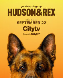 Хадсон и Рекс - Сезон 8 / Season 8