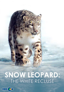 Snow Leopard: The White Recluse - Season 1
