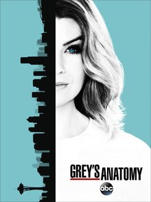 Grey's Anatomy - Season 13