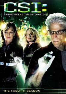 CSI: Crime Scene Investigation - Season 12