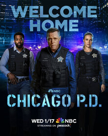 Полиция Чикаго - Сезон 11 / Season 11