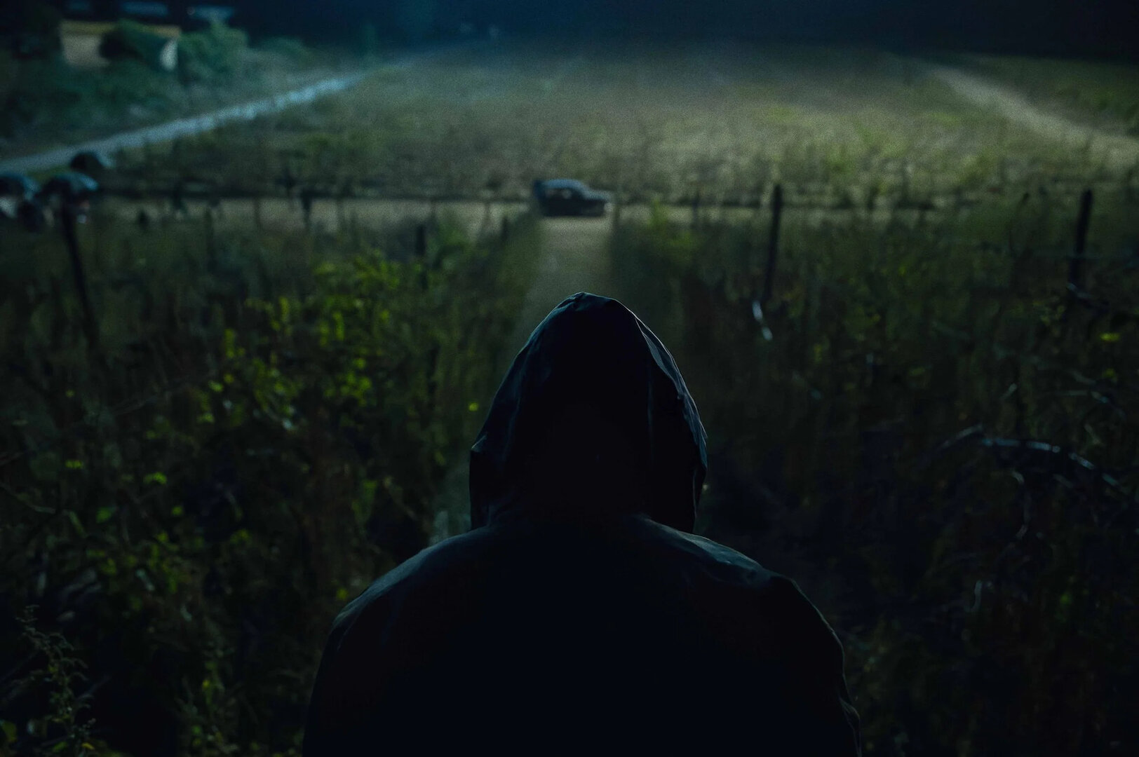 «Флорентийский монстр»: Рецензия Киноафиши