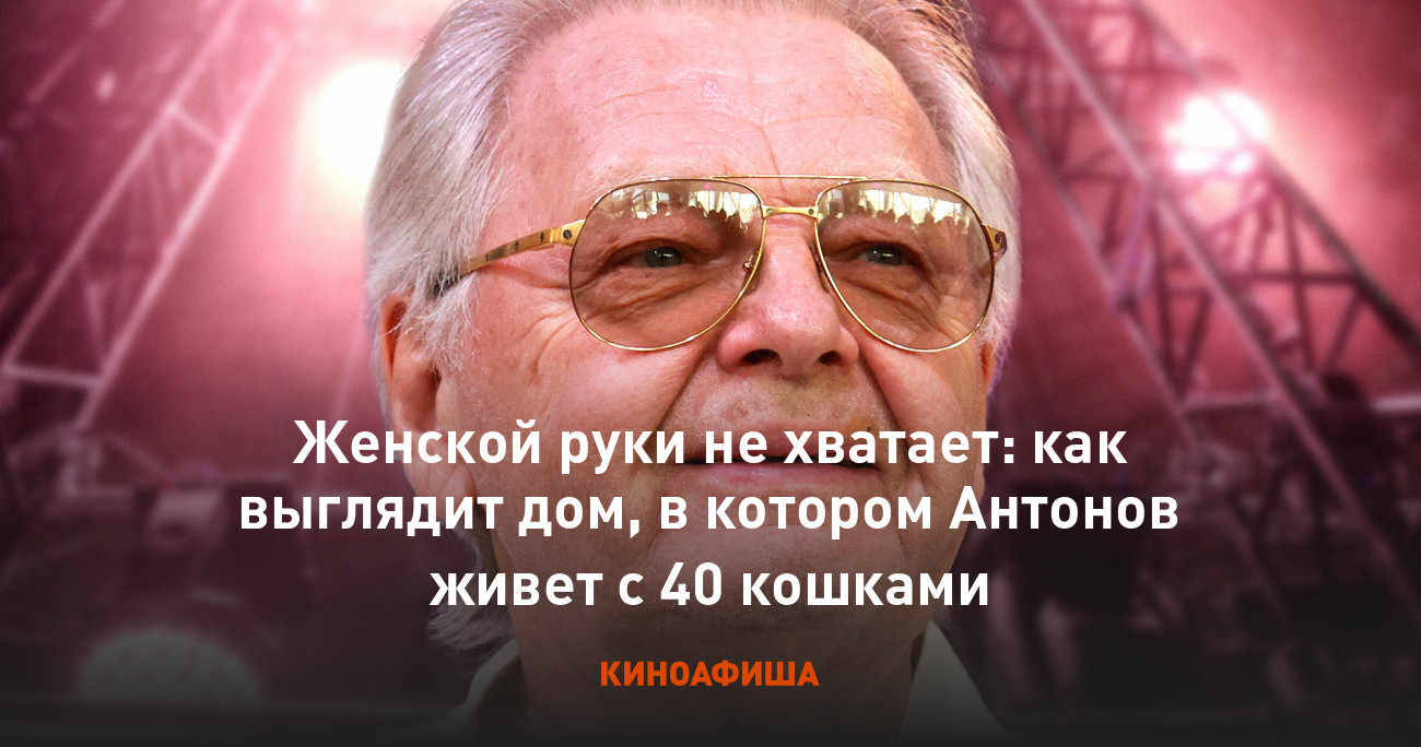 Женской руки не хватает: как выглядит дом, в котором Антонов живет с 40  кошками